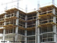 Imagine atasata: Vivalia Bulbuca - 2016.02.28 - 06.jpg